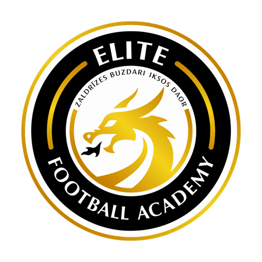 Elite Dragon Sports Academy official crest